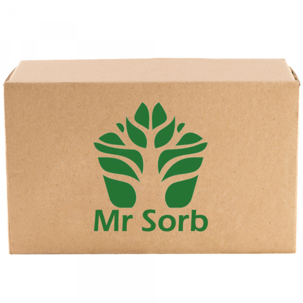 Mr SorbⓇ Absorbent - Snabb, enkel & billig